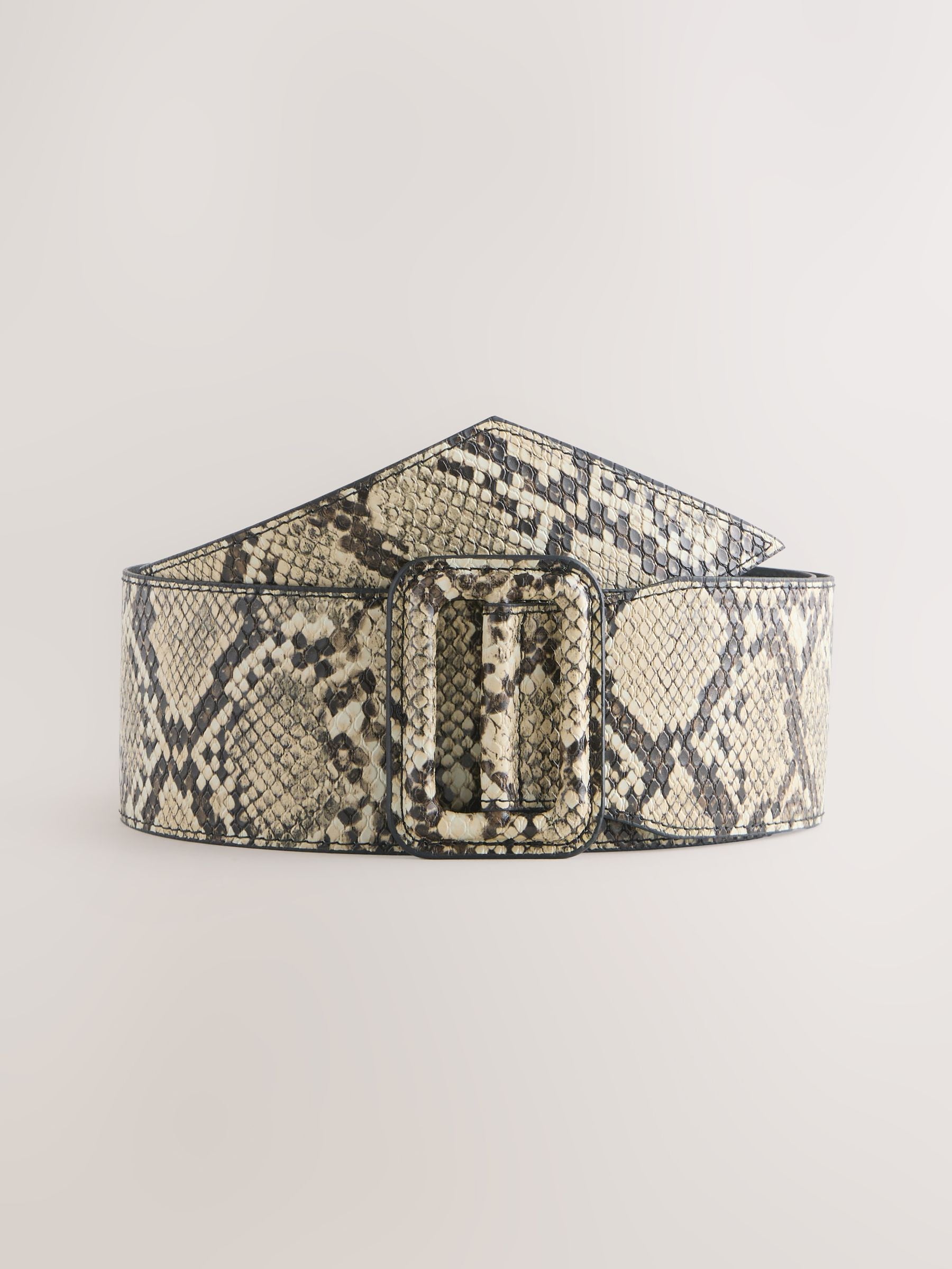 Snake Print Wide Belt with Statement Buckle - Neutral Tones Vintage Streets Ahead Snake Embossed Leather Belt, Wide  main image 2