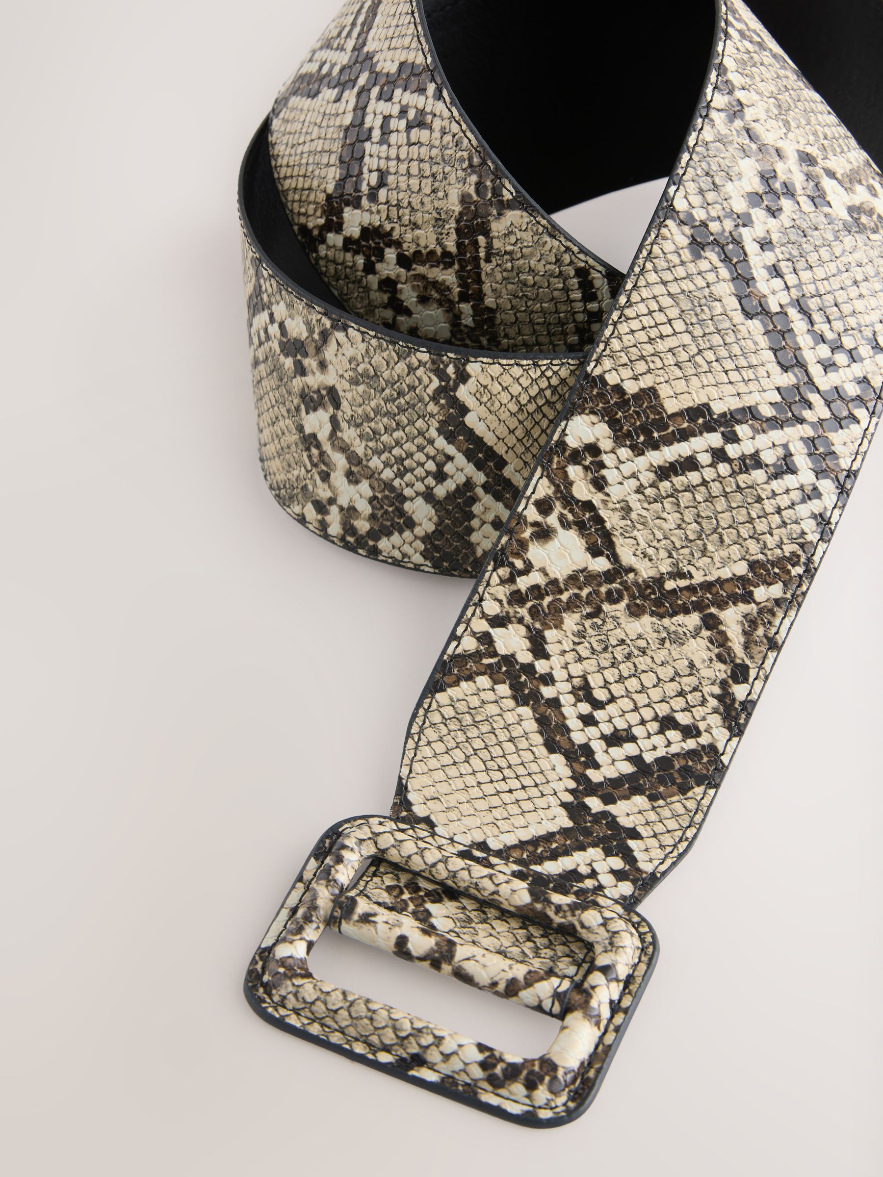 Buy Snake Print PU Wide Belt from Next USA