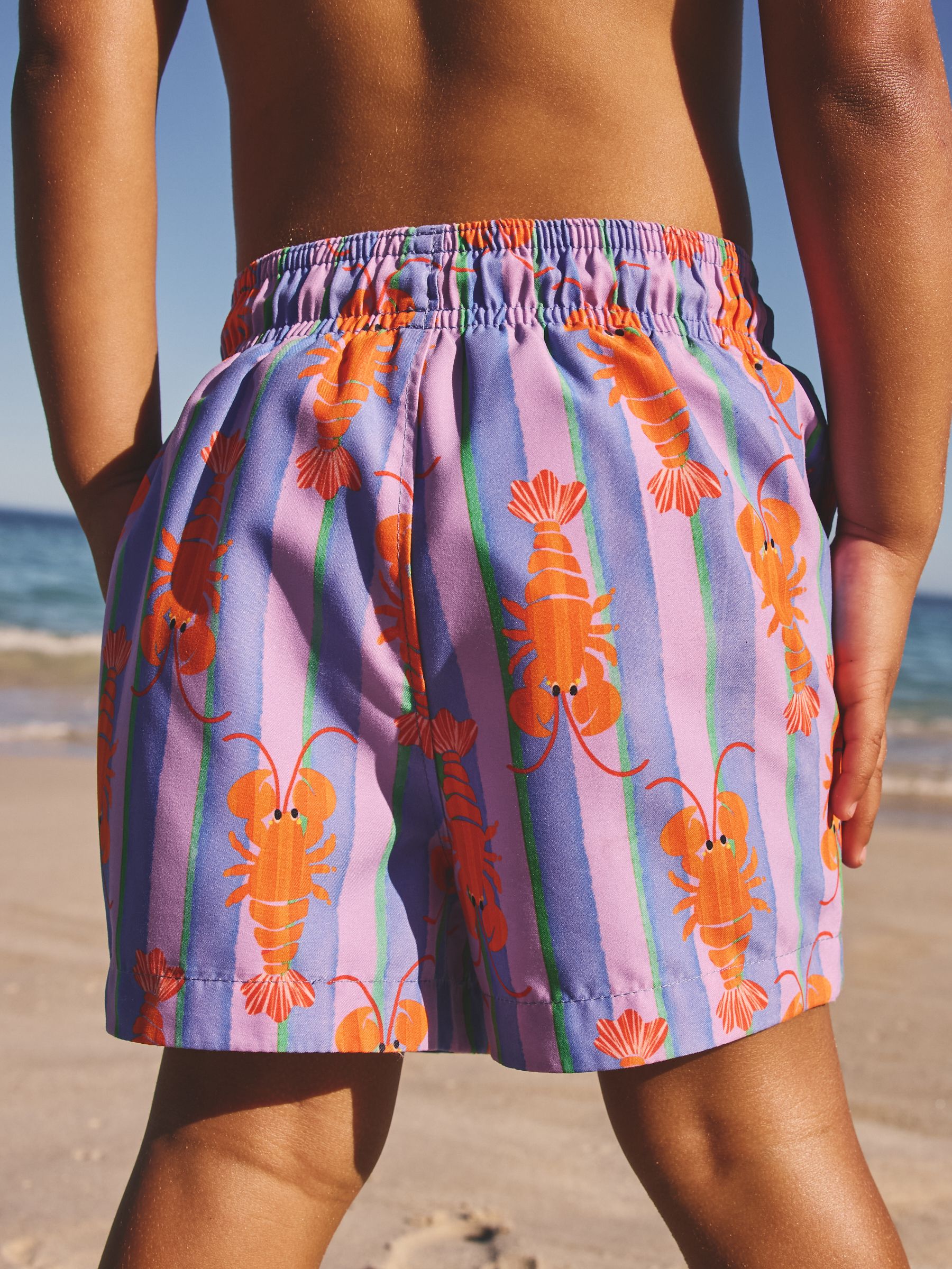 Buy Pink/Lilac Printed Swim Shorts (3mths-7yrs) from Next USA