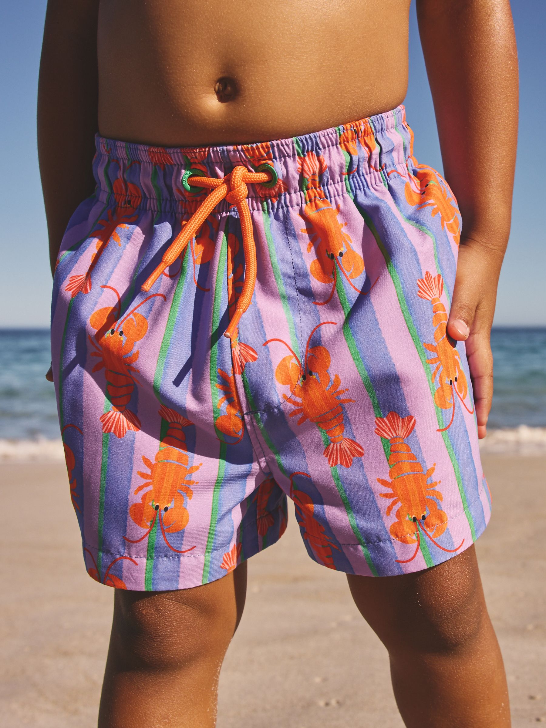 Buy Pink/Lilac Printed Swim Shorts (3mths-7yrs) from Next USA