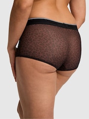 Victoria's Secret PINK Leopard Brown Boyshort Logo Knickers - Image 2 of 3