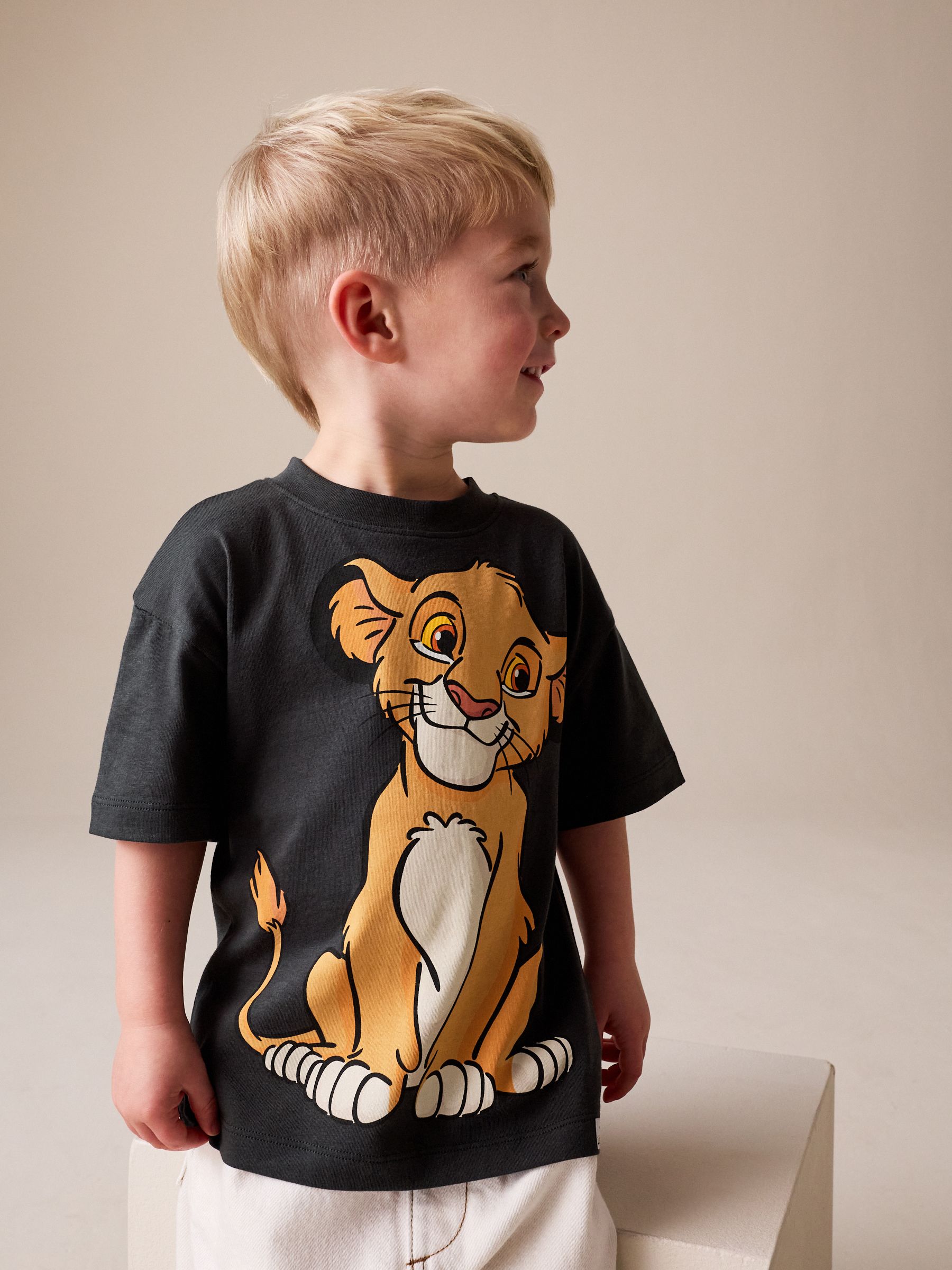 Next：日本 チャコールグレー - ライオンキング半袖Tシャツ(6月〜8年