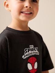 Charcoal Grey Spidey Marvel Short Sleeve Cotton T-Shirt (3mths-8yrs) - Image 3 of 7