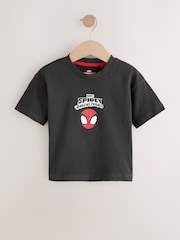 Charcoal Grey Spidey Marvel Short Sleeve Cotton T-Shirt (3mths-8yrs) - Image 4 of 7