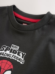 Charcoal Grey Spidey Marvel Short Sleeve Cotton T-Shirt (3mths-8yrs) - Image 6 of 7