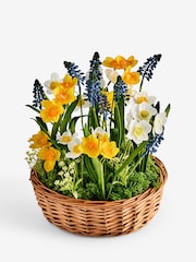 Yellow Artificial Spring Florals In a Woven Wicker Basket - Image 3 of 3