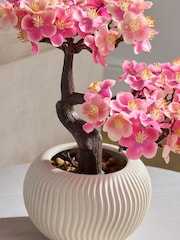Pink Mini Blossom Tree in Ceramic White Pot - Image 2 of 3