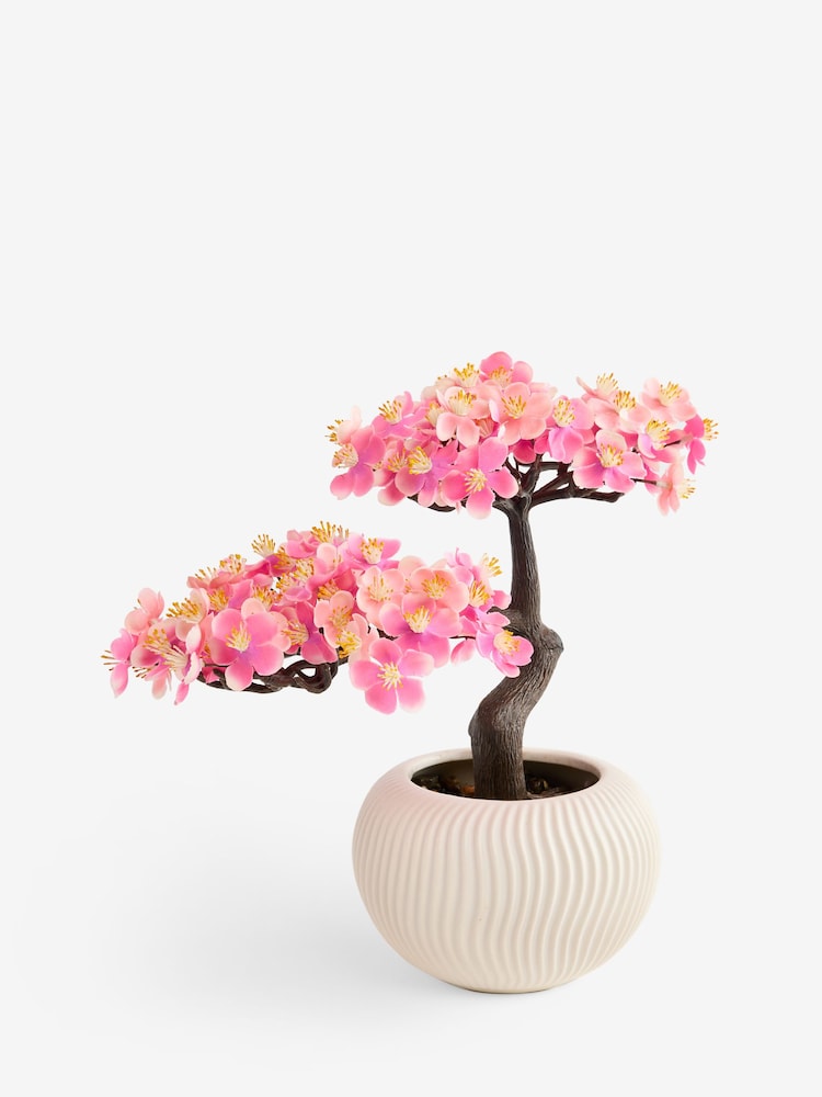 Pink Mini Blossom Tree in Ceramic White Pot - Image 3 of 3