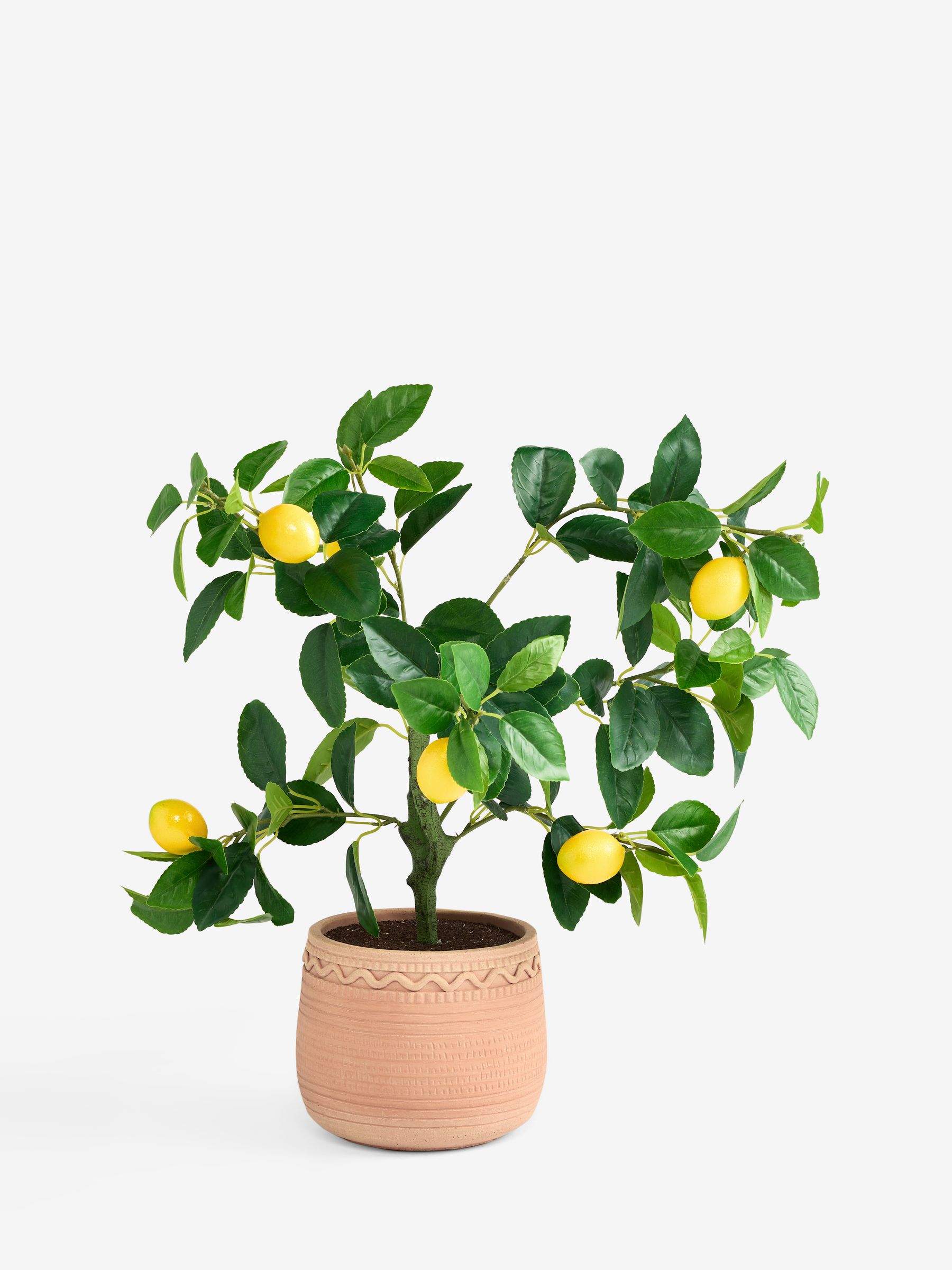Buy Yellow Artificial Lemon Tree in Terracota Planter from the