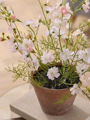 Pink/White Artificial Flowering Plant in Terrecota pot - Image 2 of 4
