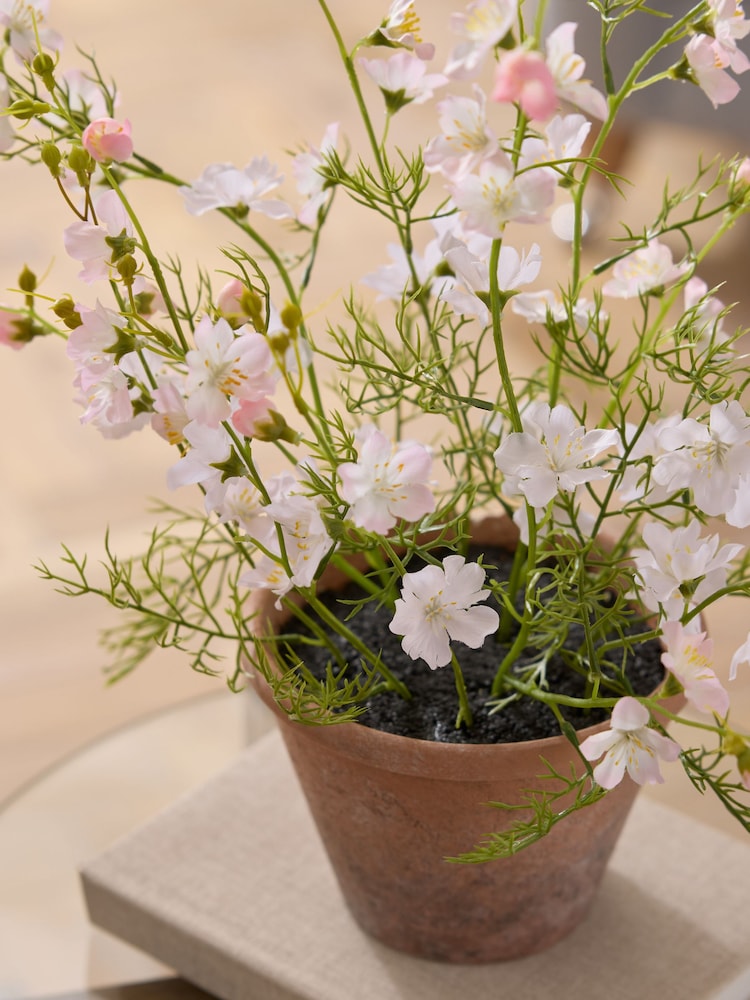 Pink/White Artificial Flowering Plant in Terrecota pot - Image 2 of 4 Pink/White Artificial Flowering Plant in Terrecota pot - Image 2 of 4