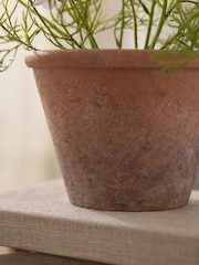 Pink/White Artificial Flowering Plant in Terrecota pot - Image 3 of 4
