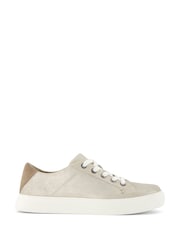 TOMS Metallic Kameron Trainers - Image 1 of 3