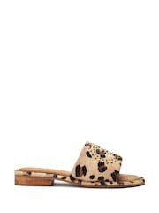 Moda in Pelle Animal Print Ferula Flat Studded Mules - Image 1 of 4