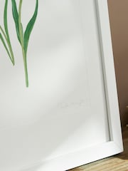 Sophie Allport Off White Tulips Print Artwork - Image 2 of 3