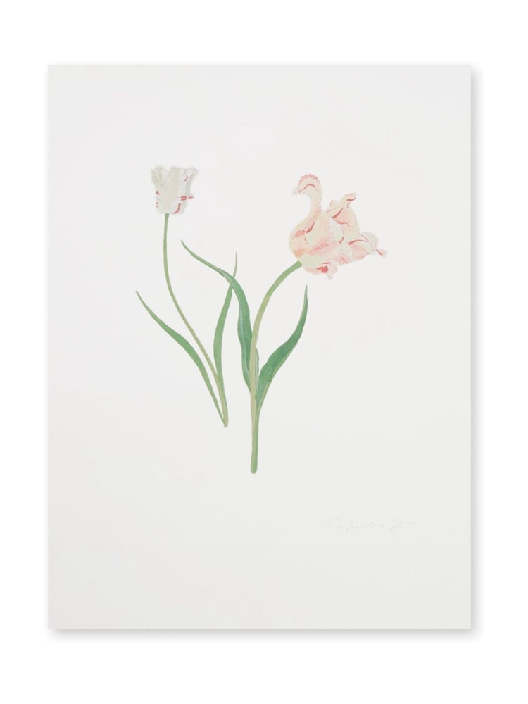 Sophie Allport Off White Tulips Print Artwork - Image 3 of 3