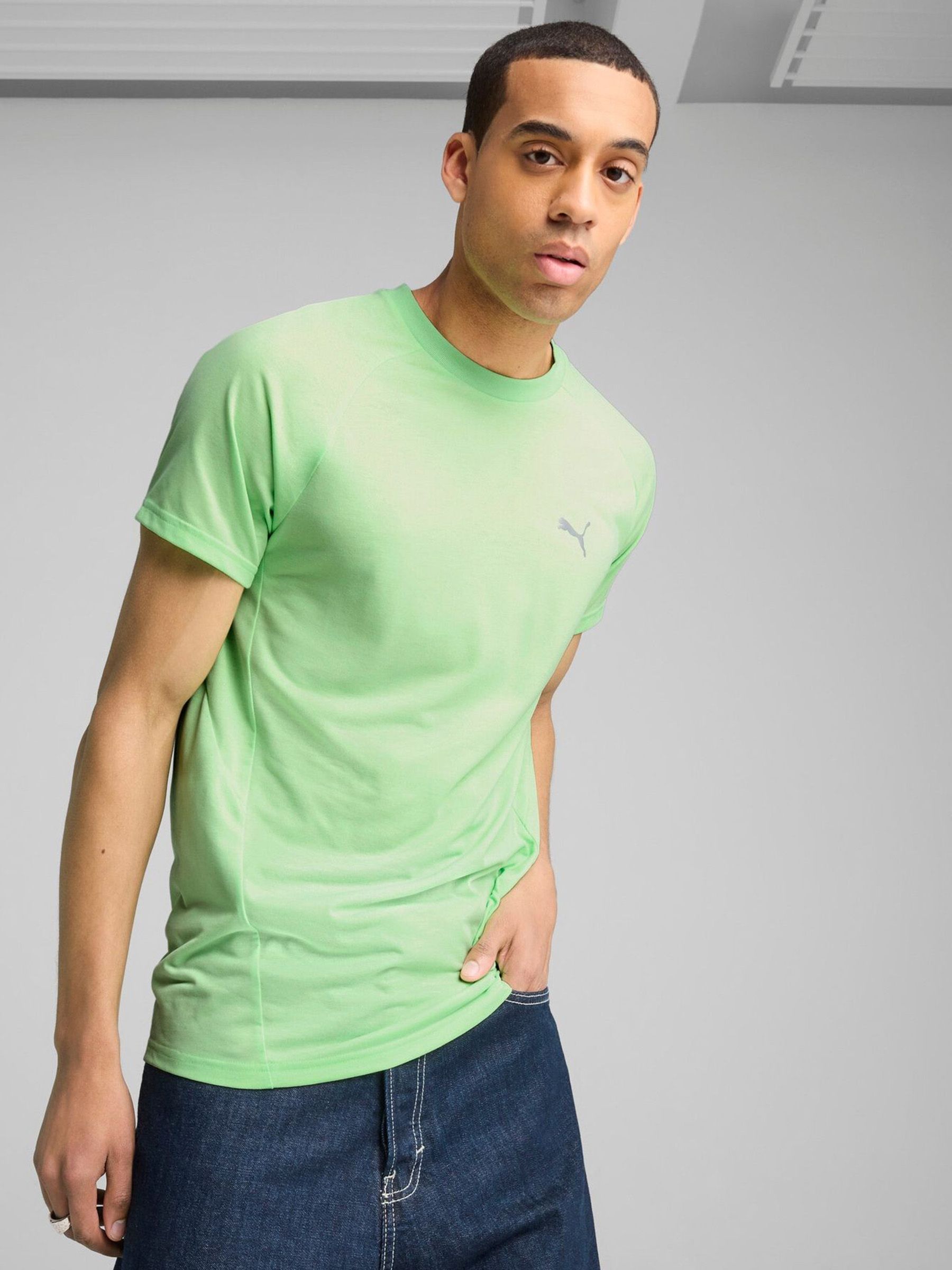 Buy Puma Green Mens Evostripe T-Shirt from Next Hong Kong