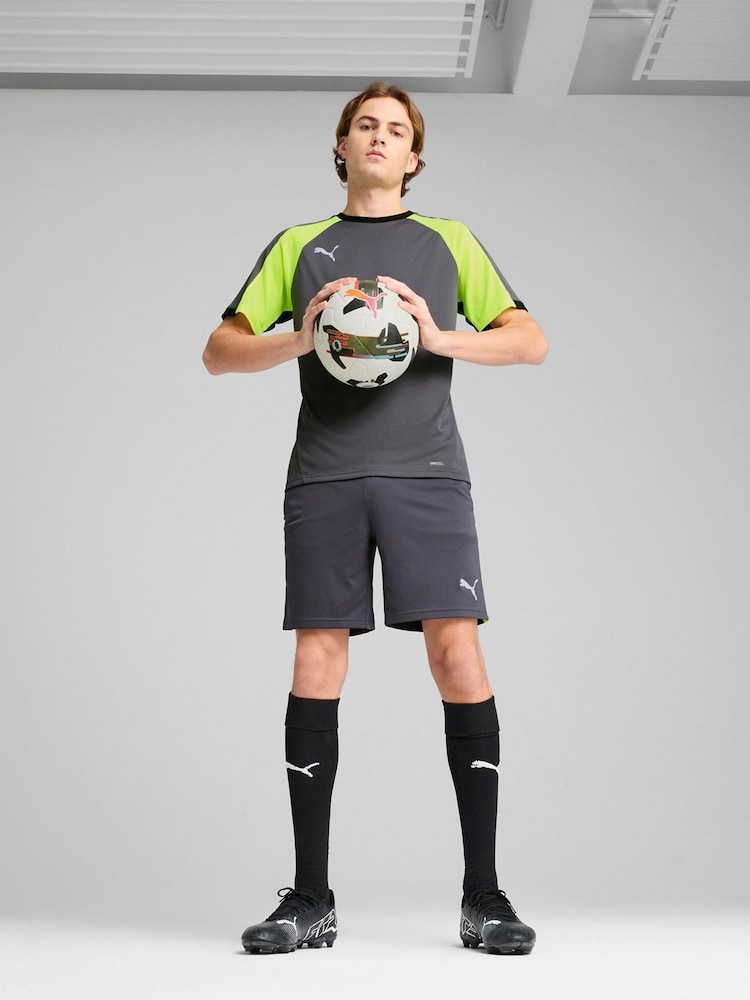 Puma Grey Mens Individualliga Training Shorts - Image 1 of 3