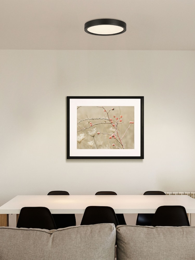 Eglo Black IDUM-E LED Ceiling Light - Image 1 of 2
