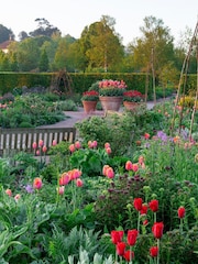 Virgin Experience Days RHS Garden Rosemoor Visit for Two - Image 1 of 2