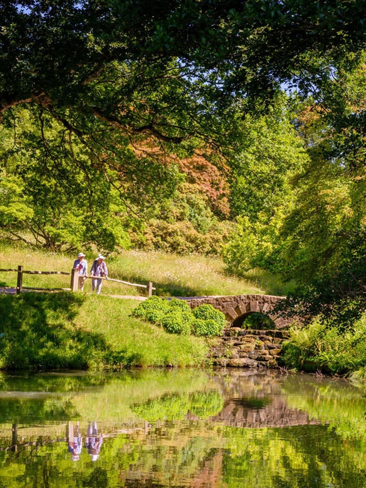 Virgin Experience Days Visit to Wakehurst Wild Botanic Garden for Two - Image 1 of 2