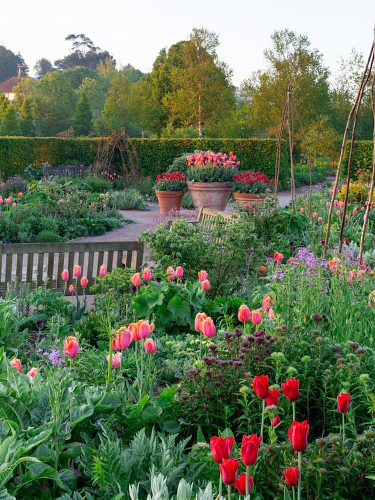Virgin Experience Days RHS Garden Rosemoor Visit for Two Adults and Two Children with Guidebook - Image 2 of 2
