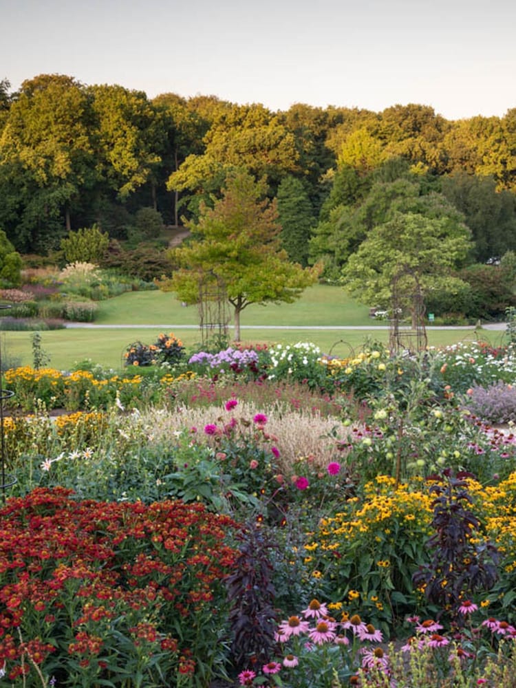 Virgin Experience Days RHS Garden Harlow Carr Visit for Two - Image 2 of 2