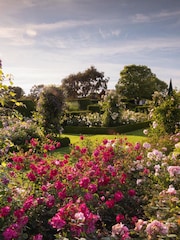 Virgin Experience Days RHS Garden Hyde Hall Visit for Two Adults and Two Children with Guidebook - Image 1 of 2