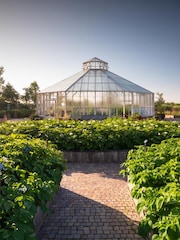 Virgin Experience Days RHS Garden Hyde Hall Visit for Two Adults and Two Children with Guidebook - Image 2 of 2