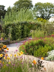 Virgin Experience Days RHS Garden Harlow Carr Visit for Two Adults and Two Children - Image 2 of 2