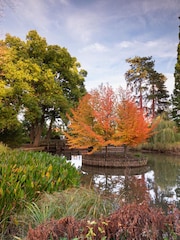 Virgin Experience Days RHS Garden Wisley Visit for Two - Image 2 of 2