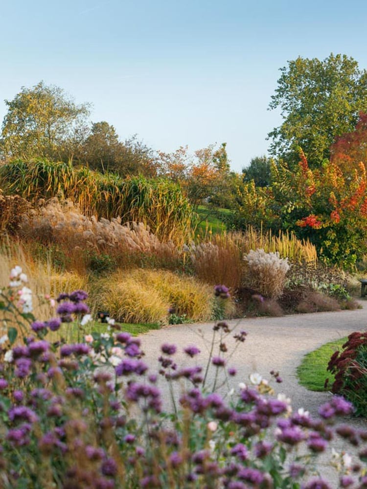 Virgin Experience Days RHS Garden Hyde Hall Visit for Two - Image 2 of 2