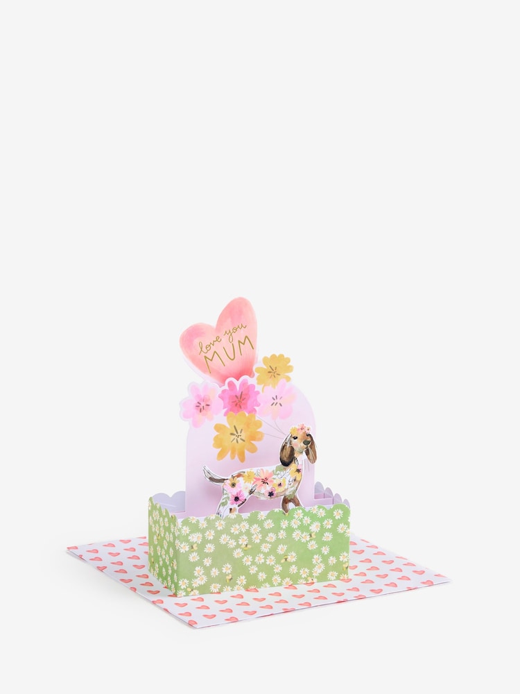 כרטיס קופץ - תמונה 3 מתוך 3 כרטיס קופץ - תמונה 3 מתוך 3