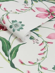 Graham & Brown Pink Botanists Scroll 10M Wallpaper - Image 3 of 4