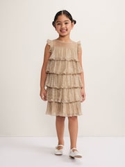 Phase Eight Destiny Plisse Dress - صورة 1 من 6