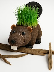 Diabolical Grow your own Hairy Beaver - Image 2 of 4