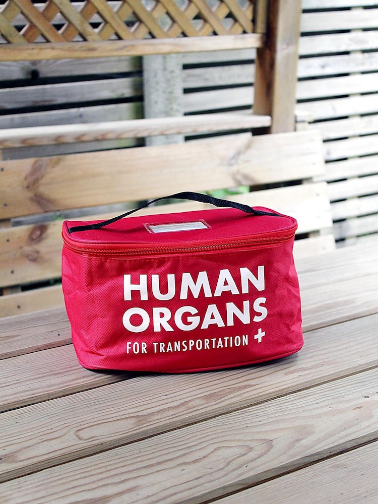 Buy Diabolical Human Organs Lunch Bag from the Next UK online shop - Main Image