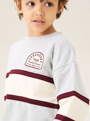 Angel & Rocket Grey Jordan Cut and Sew Sweatshirt - Image 3 of 7