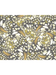 Origin Murals Black and Olive Green Butterfly Wings A4 Wallpaper Sample - Image 1 of 1