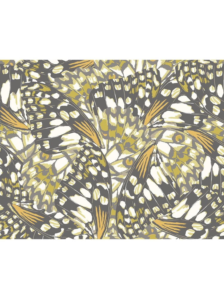 Origin Murals Black and Olive Green Butterfly Wings A4 Wallpaper Sample - Image 1 of 1 Origin Murals Black and Olive Green Butterfly Wings A4 Wallpaper Sample - Image 1 of 1