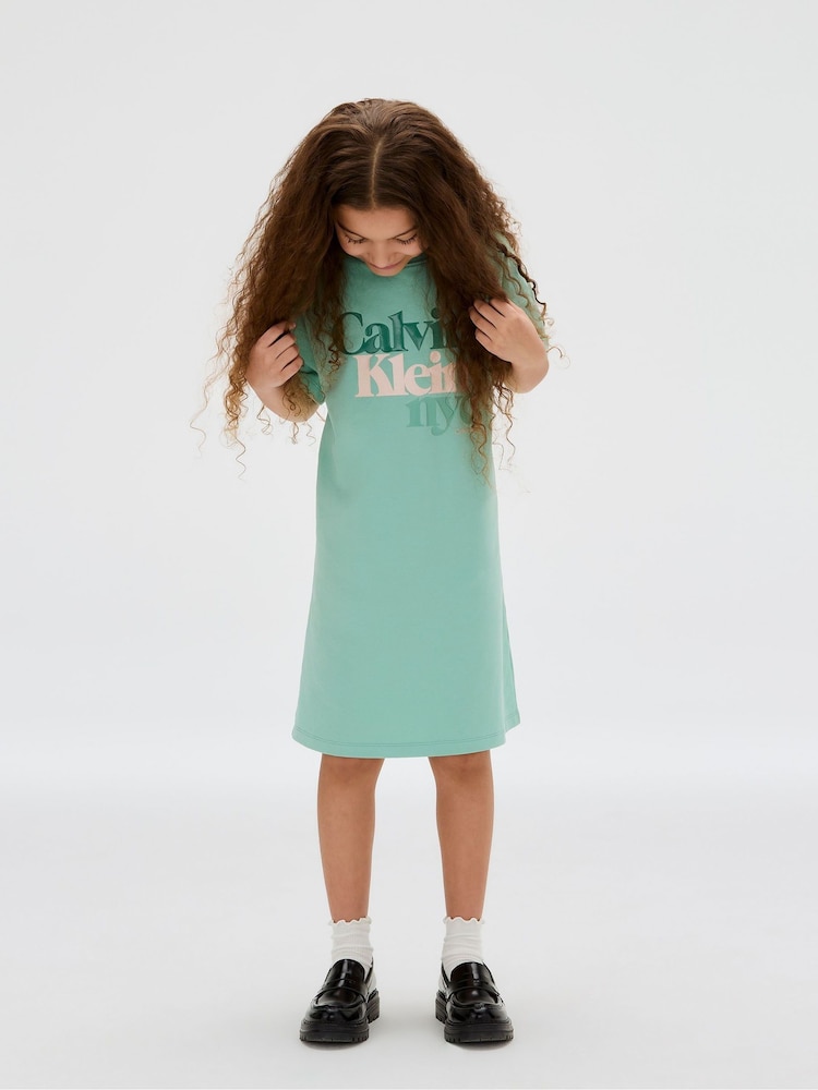 Buy Calvin Klein Green Logo Placement T-Shirt Dress from Next USA