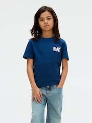 Calvin Klein Blue Regular Seasonal T-Shirt - Image 1 of 5