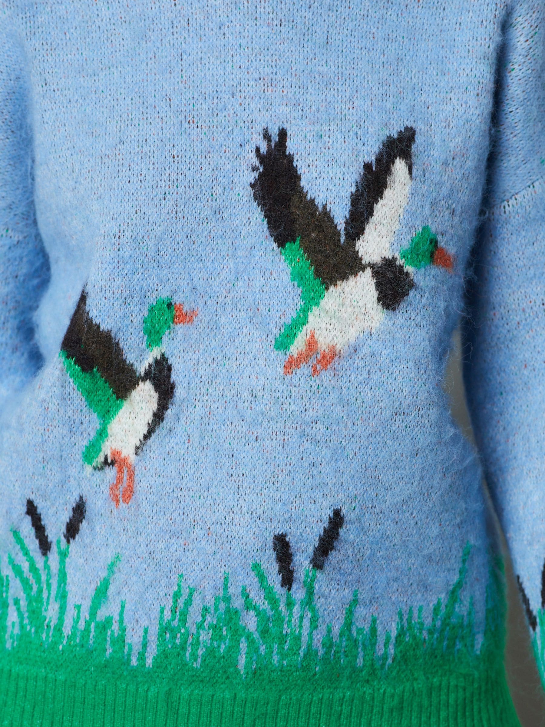 Buy Blue Mallard Duck Graphic Brushed Crew Neck Jumper from Next USA