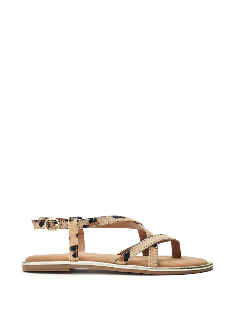Estampado animal - Moda in Pelle Animal Print Jacaran Flat Criss Cross Sandals - Imagen 1 de 4