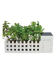 Jeray White Indoor Allotment Gift Set - Image 1 of 5
