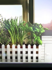 Jeray White Indoor Allotment Gift Set - Image 2 of 5