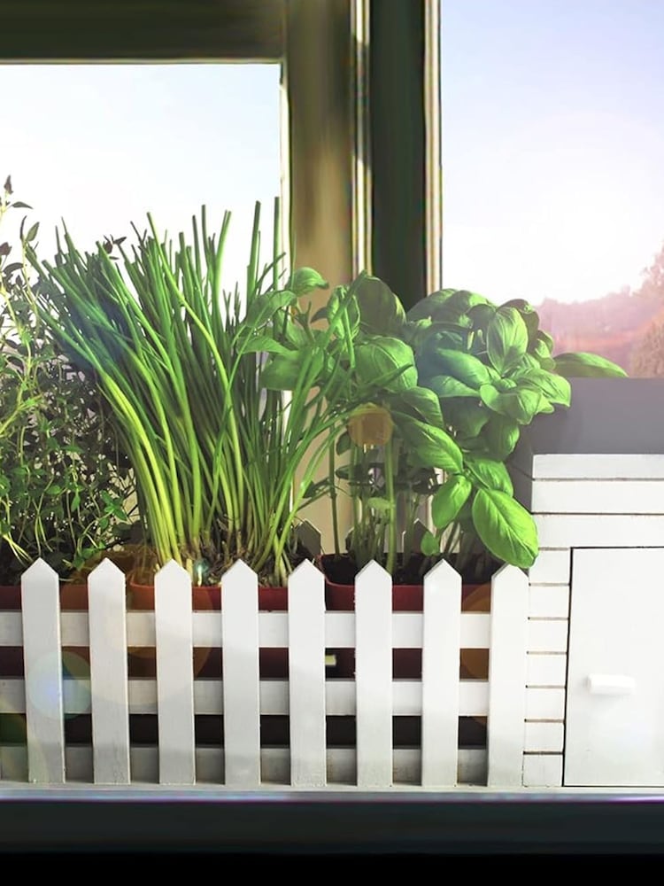 Jeray White Indoor Allotment Gift Set - Image 2 of 5