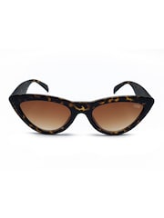 Storm Plastic Wide Arm Cat Eye Brown Sunglasses - Image 1 of 2