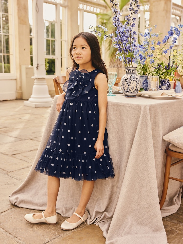 Navy Spot Flower Corsage Mesh Occasion Dress (3-16yrs) - Image 1 of 9