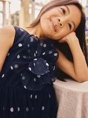 Navy Spot Flower Corsage Mesh Occasion Dress (3-16yrs) - Image 4 of 9